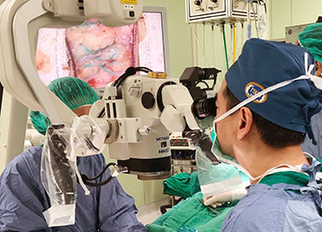 Microsurgery - Dr. Cheng